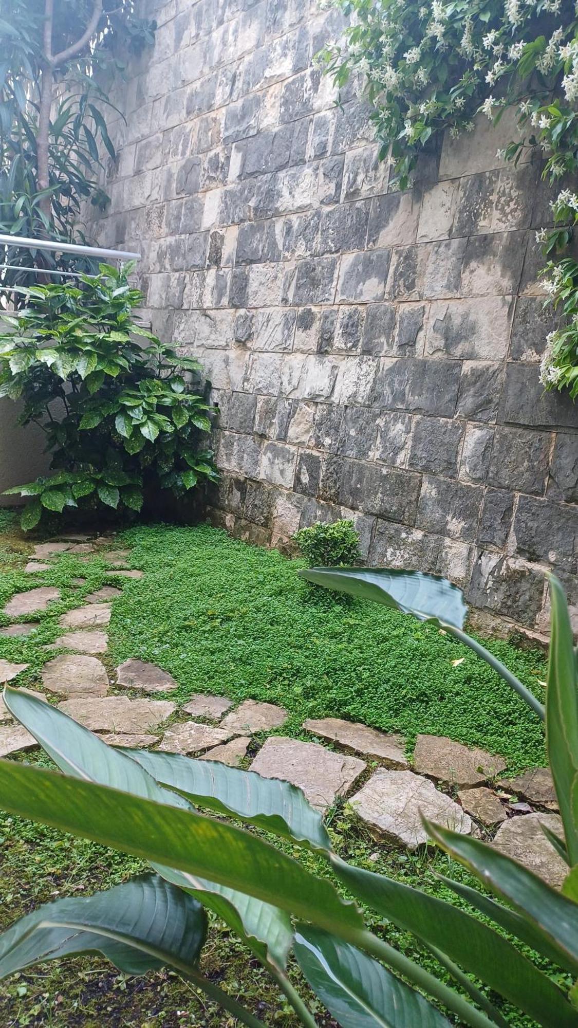 Apartman Stijepcic Herceg Novi Kültér fotó