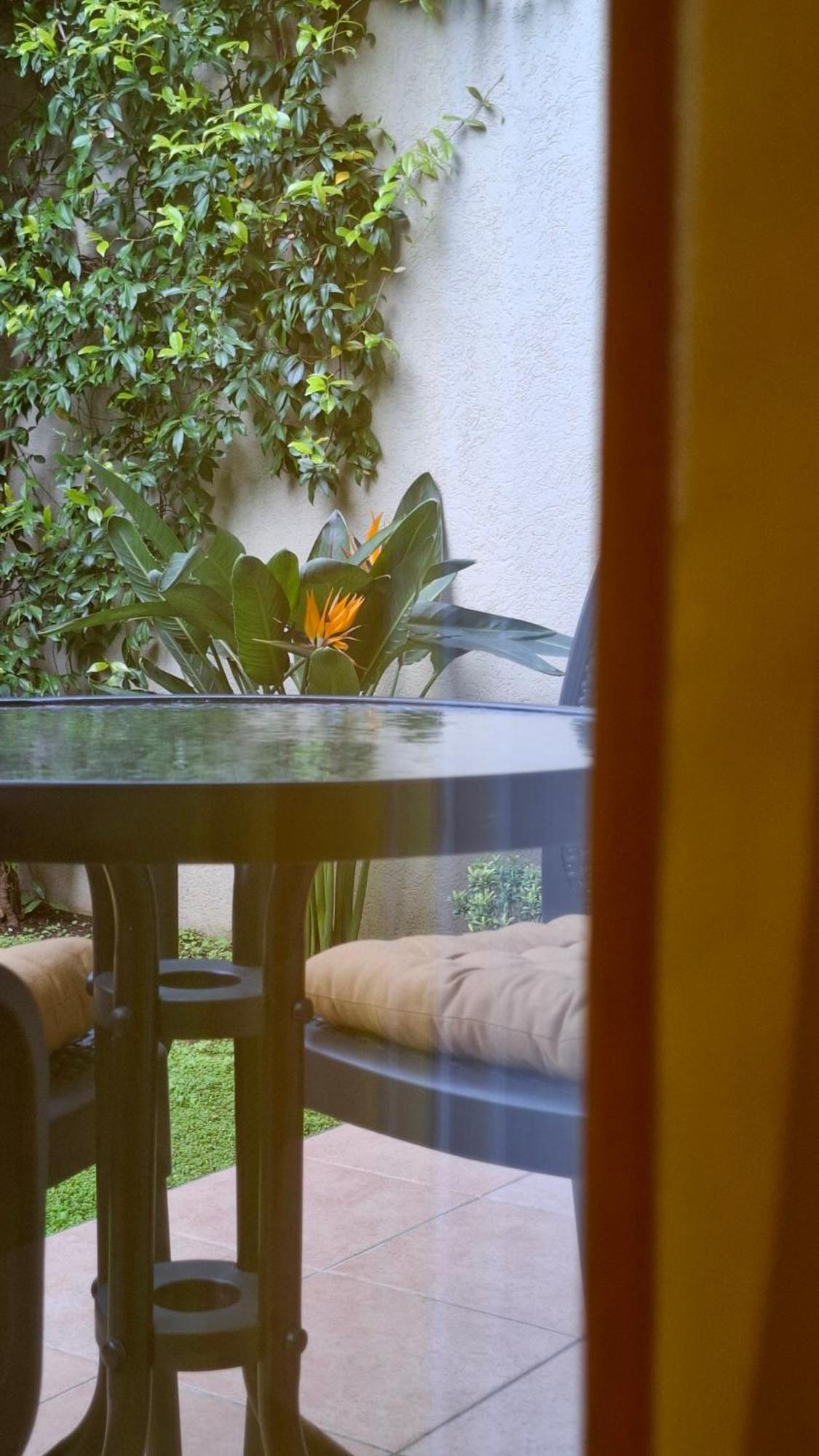 Apartman Stijepcic Herceg Novi Kültér fotó