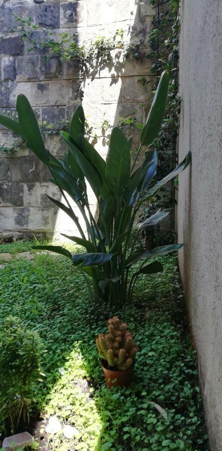 Apartman Stijepcic Herceg Novi Kültér fotó